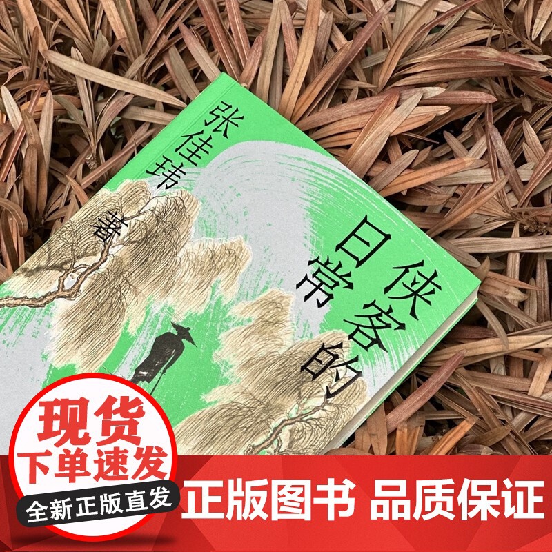 侠客的日常 张佳玮 著 文化高清大图