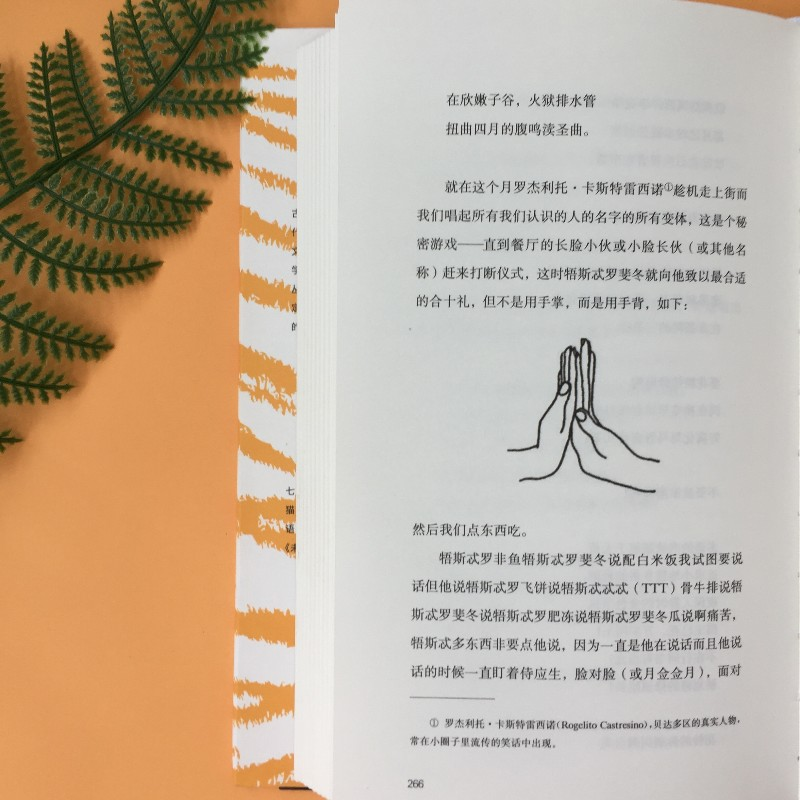 醉染图书三只忧伤的老虎9787220172高清大图
