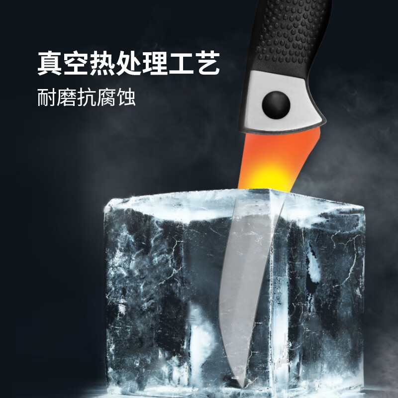 德世朗(DESLON)水果刀瓜果刀削皮刀切片刀小食刀辅食刀家用厨房便携野餐刀具 一把装 FS-008高清大图