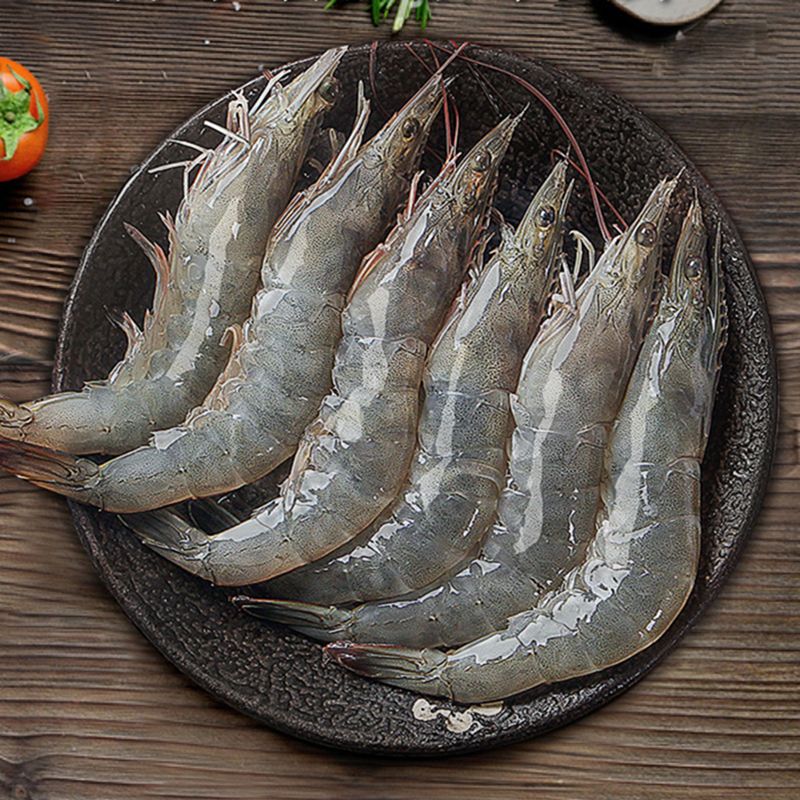 大号虾(13-16cm)虾装新鲜大虾对虾基围虾活体鲜冻虾大个虾新鲜海鲜