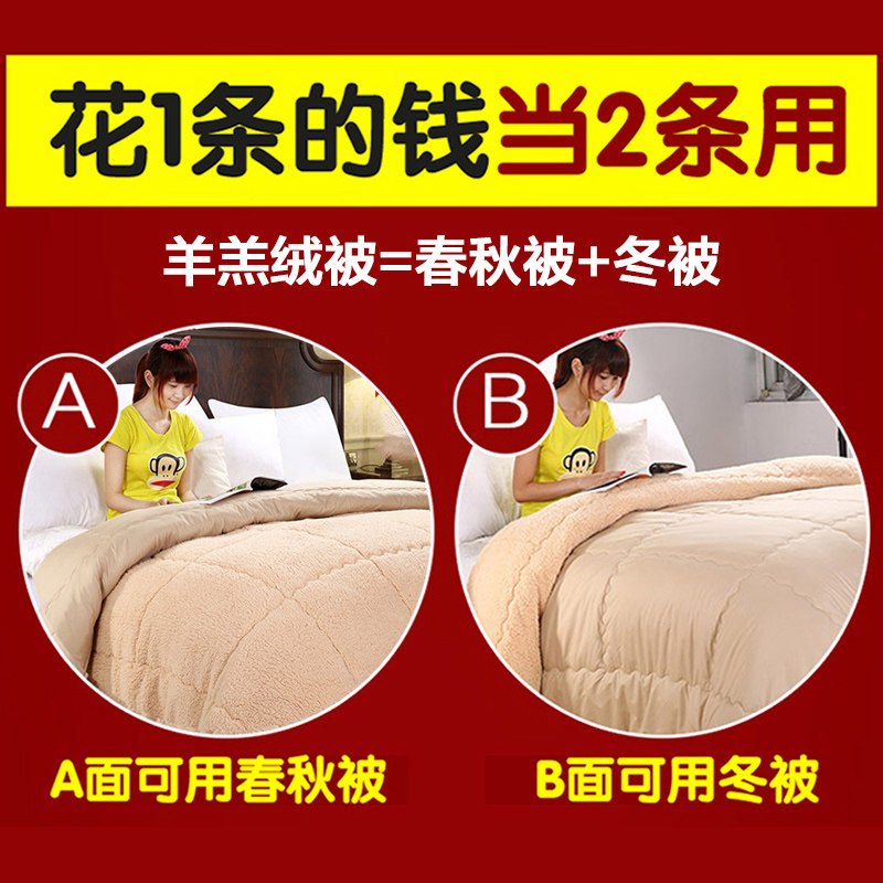 沿蔻家纺 被子 加厚羊羔绒冬被春秋被棉被芯 超柔羊羔绒被斜纹纯色纤维