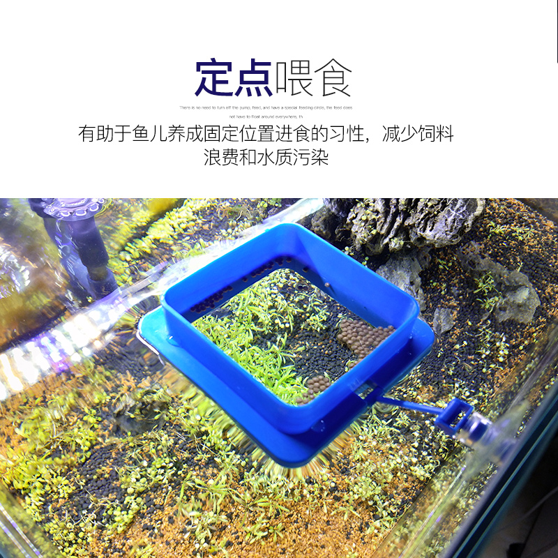 鱼粮投喂圈小型鱼儿喂食圈 鱼儿鱼食投食圈 水族箱漂浮喂食圈高清大图