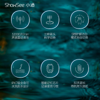 小适(Showsee)电动牙刷声波振动 成人充电式牙刷32000转/分钟标准/按摩/美白/护齿梦鲸蓝D2-B