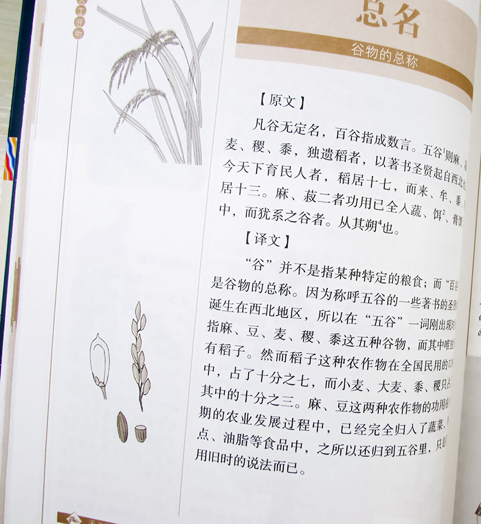 正版 图解 天工开物 完整版 中国古代一部综合性的科学技术著作 文白对照 天工开物正版书籍图说(明)宋应星著典籍里的中国高清大图