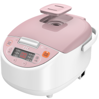 ASD/爱仕达微电脑控制不粘内胆家用5L大容量电饭煲 AR-F5016ED