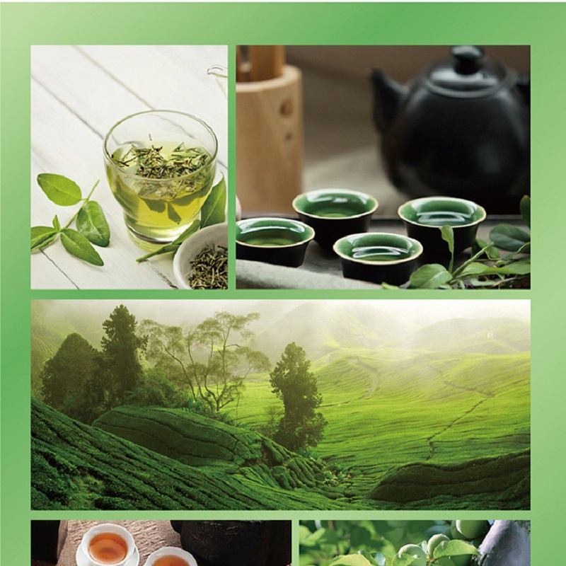 康师傅绿茶饮品1L