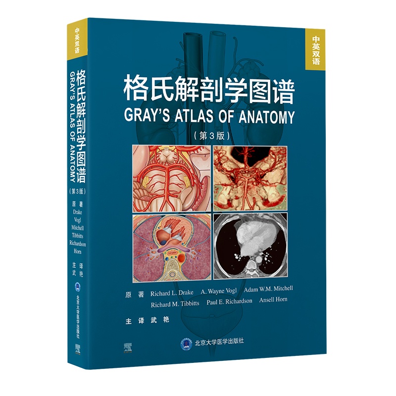 单本全册 [正版]格氏解剖学图谱 第3三版 中英双语 解剖学方位术语和平面 解剖学平面和影像 背部胸部腹部图解 武艳主译高清大图
