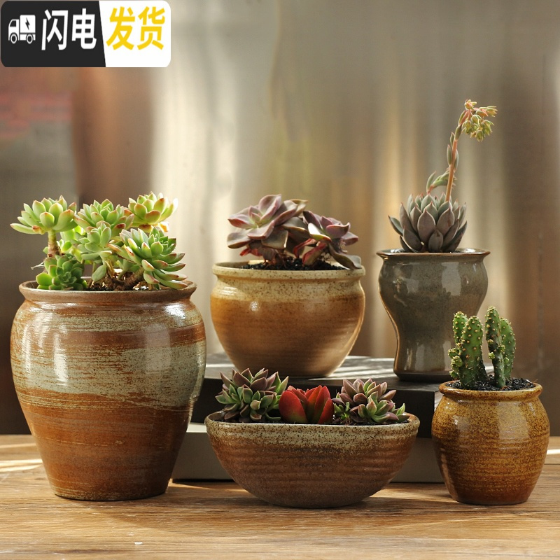 三维工匠多肉花盆粗陶透气大口径家用创意个性肉肉植物陶瓷老桩盆 套装四 中等花盆容器高清大图