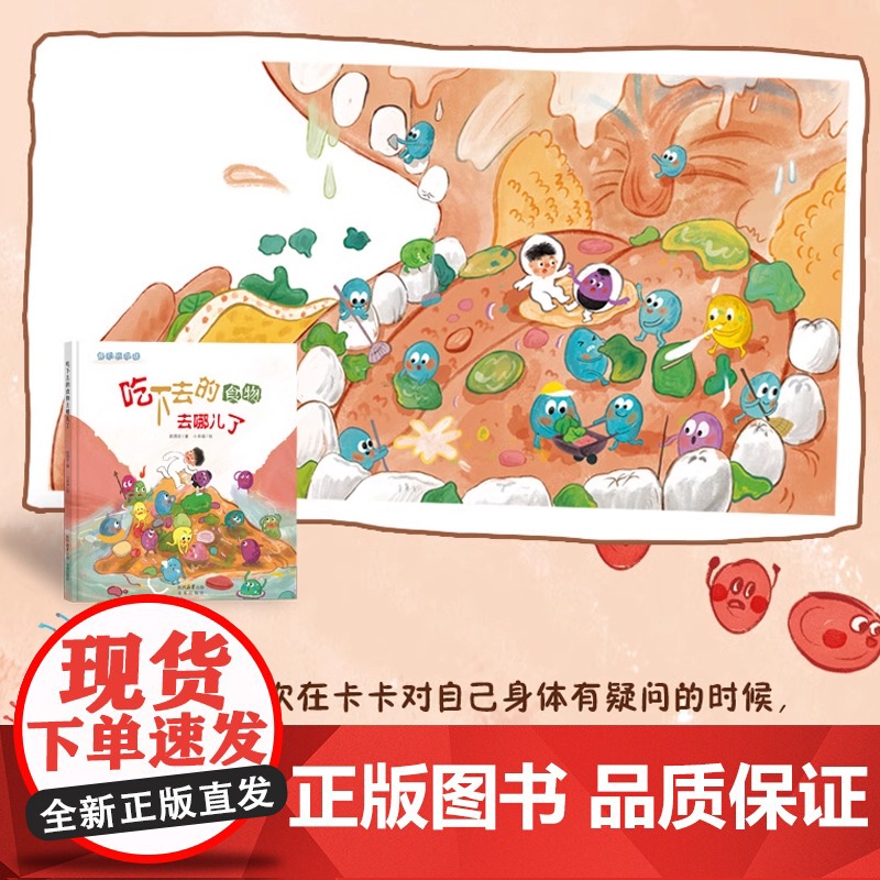 我们的身体系列喝下去的水去哪儿了精装硬壳绘本适合0-6岁幼儿让孩子了解身体的健康未来出版社全新正刊高清大图