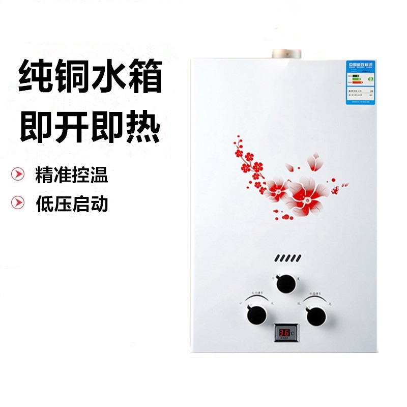 黄金蛋燃气热水器家用煤气罐液化气8L10L12L天然气低水压启动洗澡_10L铜水箱带显示豪配电池款_天然气