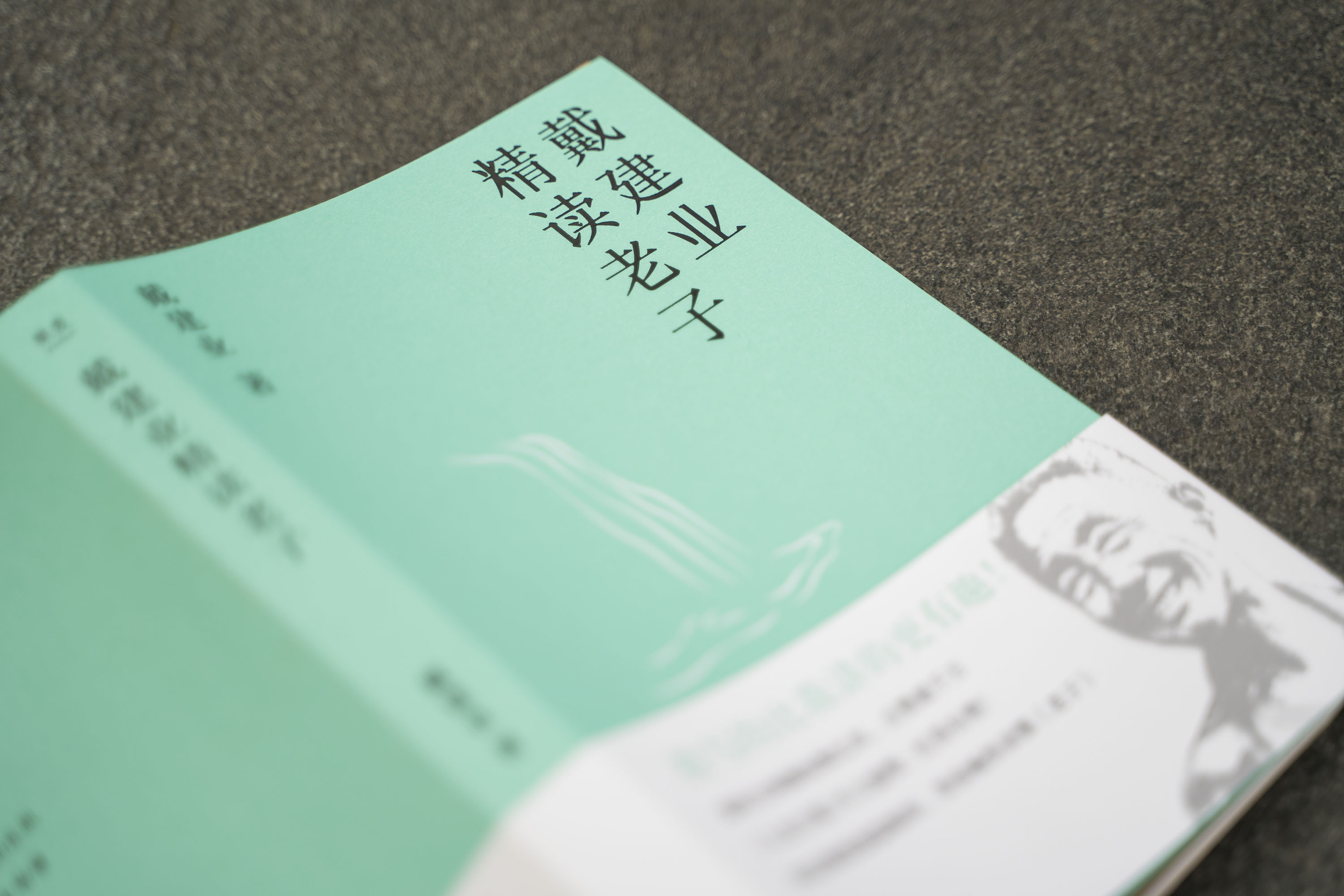 [正版] 戴建业精读老子 文学理论 网红级国民教授谈 十七年长销不衰 趣味随笔 中国文学 古典 经典 诗歌 戴建业文集高清大图