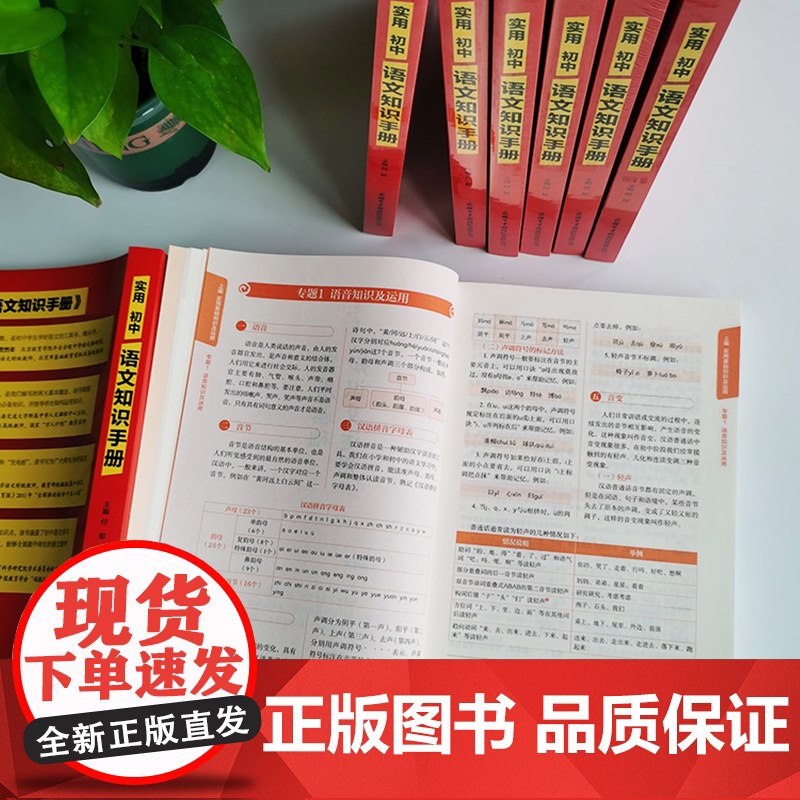 2024实用初中语文知识手册 实用初中英语知识手册著名教育专家指导知识全覆盖阅读全理解写作全优秀初中语文学习工具书高清大图