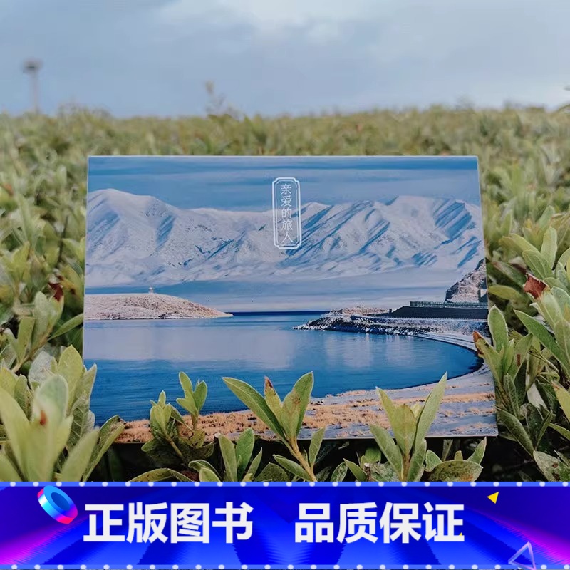 【正版】亲爱的旅人 28张摄影作品新疆风景我的阿勒泰 广阔大草原连绵不绝雪山风光出类艺术明信片创意唯美自然风景贺卡文创