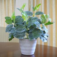仿真植物 假植物 塑料小盆栽绿植绿萝 仿真花植物 室内外装饰品摆件-大盆白网叶套装