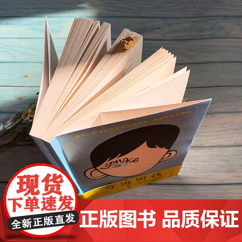 奇迹男孩 直面差异拥抱真我讲述疤痕男孩成长奇迹让孩子学会善良与坚强同名电影原著小说 正版书籍 人民文学出版社高清大图
