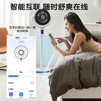 美的(Midea)空气循环扇直流变频电风扇家用风扇立式落地扇遥控定时换气扇轻音节能电扇除菌净化可选 FGD24UZR