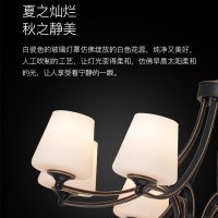 雷士照明美式吊灯轻奢水晶大气典雅客厅餐厅灯具现代简约灯饰套餐 测试商品