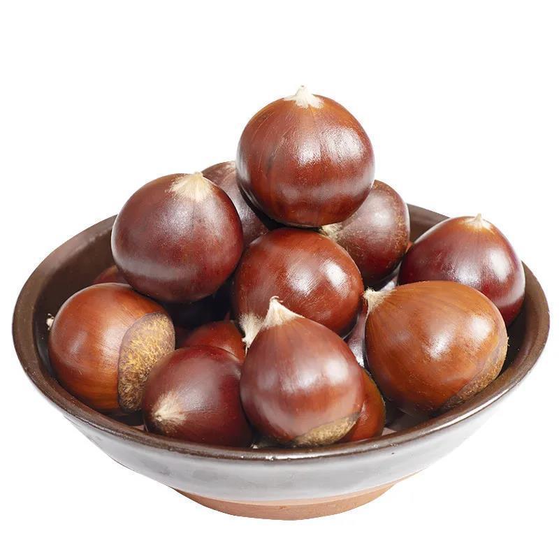 赛卡伊新鲜锥栗建瓯锥栗板栗生栗子圆栗油栗农家现摘板栗毛栗子锥栗