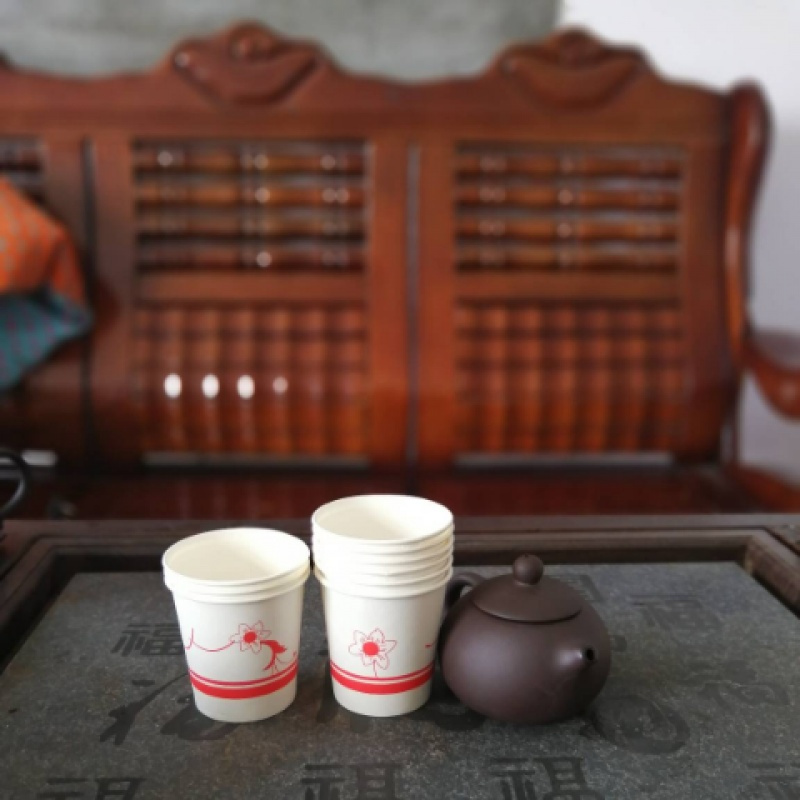 180ml 6OZ喝水杯 中号 待客 一次性饮水杯子纸杯1000只装加厚 180ml出口加厚随机图案发500只