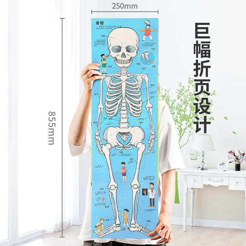 揭秘系列新款翻翻书-揭秘身体 [正版] 揭秘翻翻书系列全套 儿童3d立体书3-6-8-10岁以上人体科普我们的身体百科全