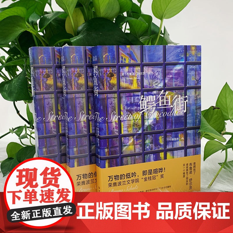 鳄鱼街 布鲁诺·舒尔茨读品 北京理工大学出版社 正版书籍高清大图