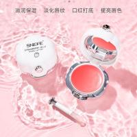 雪玲妃唇膜淡化唇纹补水保湿皮唇部护理滋润唇膏学生去黑唇色 新款唇膜(含镜子唇刷)两瓶装