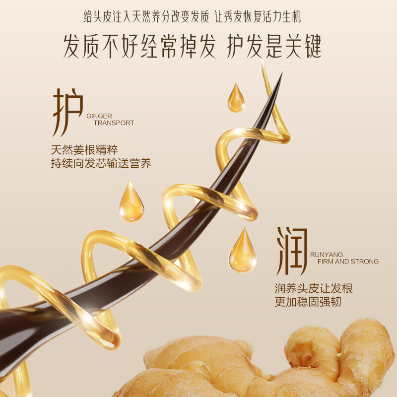 柏缇生姜护发洗发水蓬松洗头膏洗发露洗发液 500ml*1瓶 生姜洗发高清大图