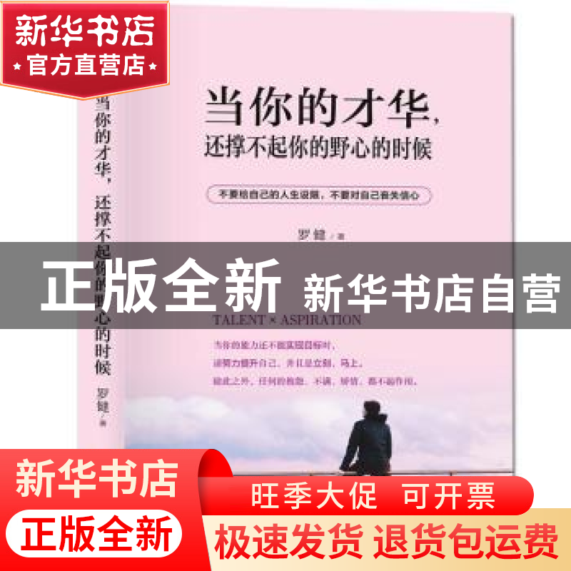 正版 当你的才华,还撑不起你的野心的时候 罗健 天地出版社 9787高清大图