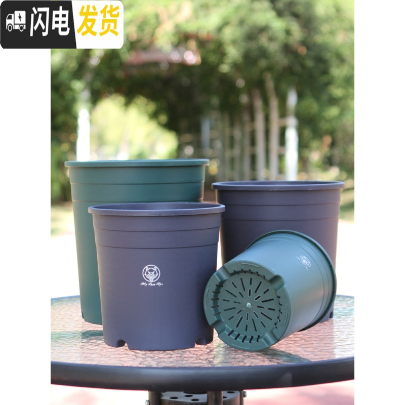 三维工匠加仑盆二代加厚塑料树脂多肉绿萝家用阳台种花月季盆栽控根大花盆 [3个装]绿色(单花盆) 小花盆容器高清大图