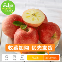 禾趣 正宗新疆阿克苏冰糖心苹果2斤（带箱）/箱装 大果当季苹果新鲜脆甜应季新疆阿克苏苹果非花牛苹果红富士苹果
