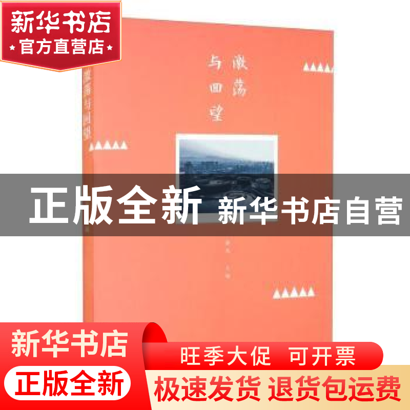 正版 激荡与回望 徐风 江苏凤凰文艺出版社 9787559436245 书籍高清大图