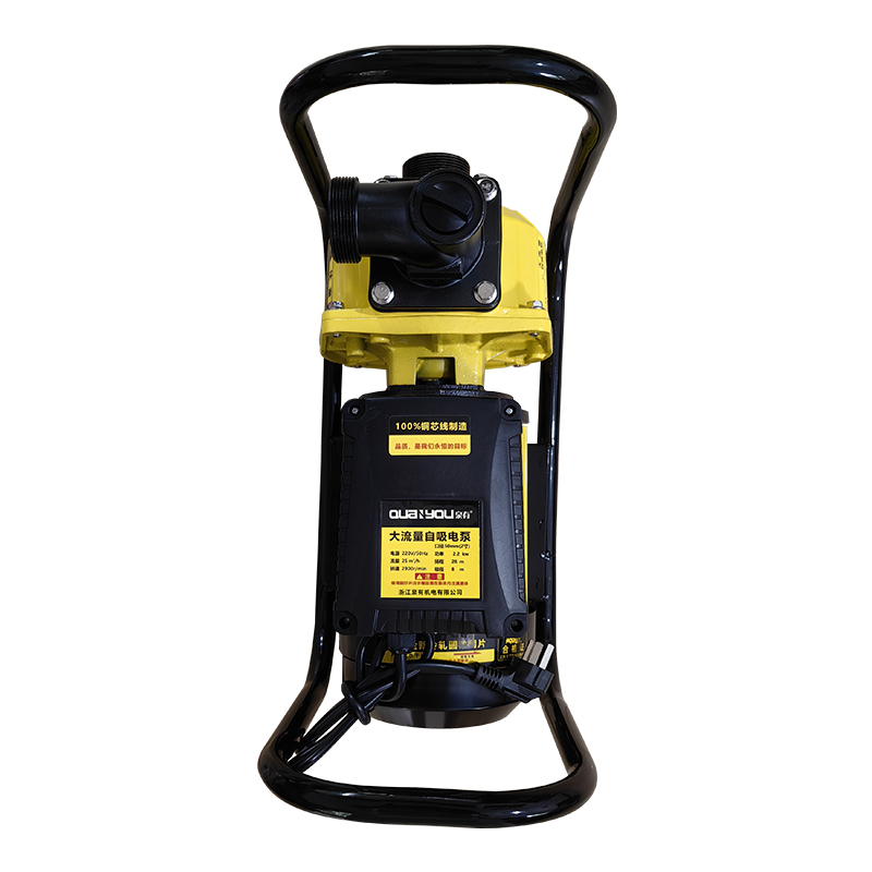 【泉有】大流量自吸电泵 50*25*35cm高清大图