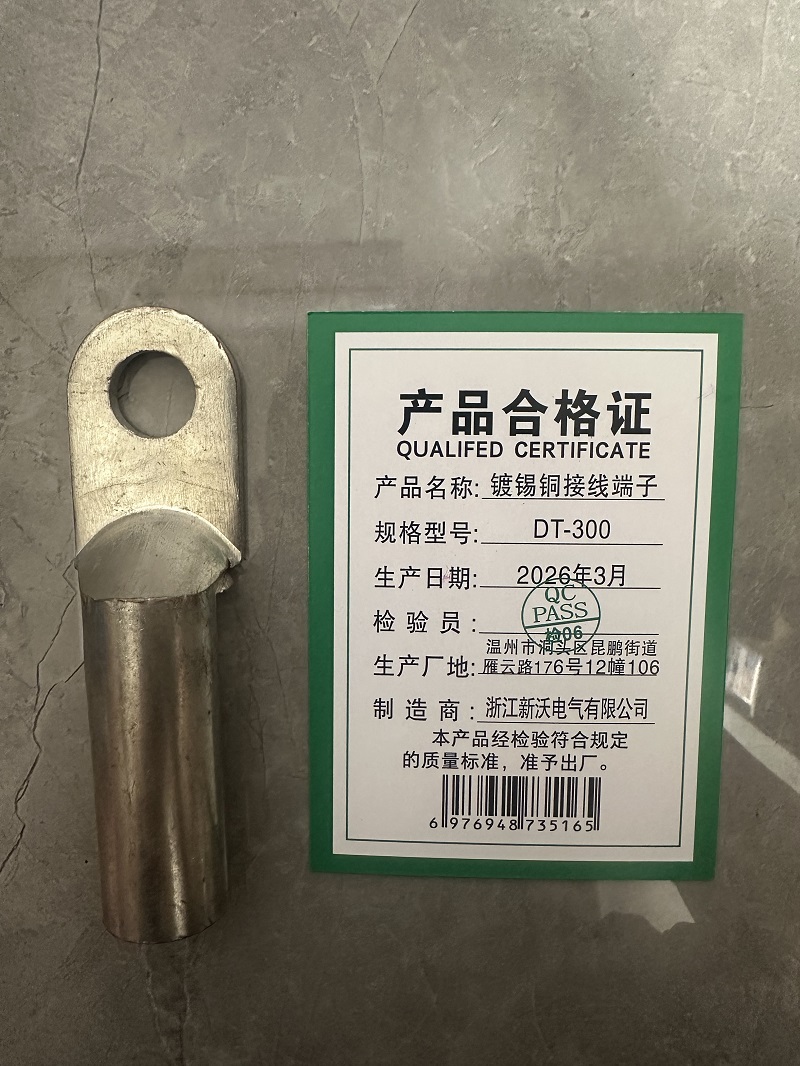 新沃 XINWOM 镀锡铜接线端子 DT-300 个高清大图