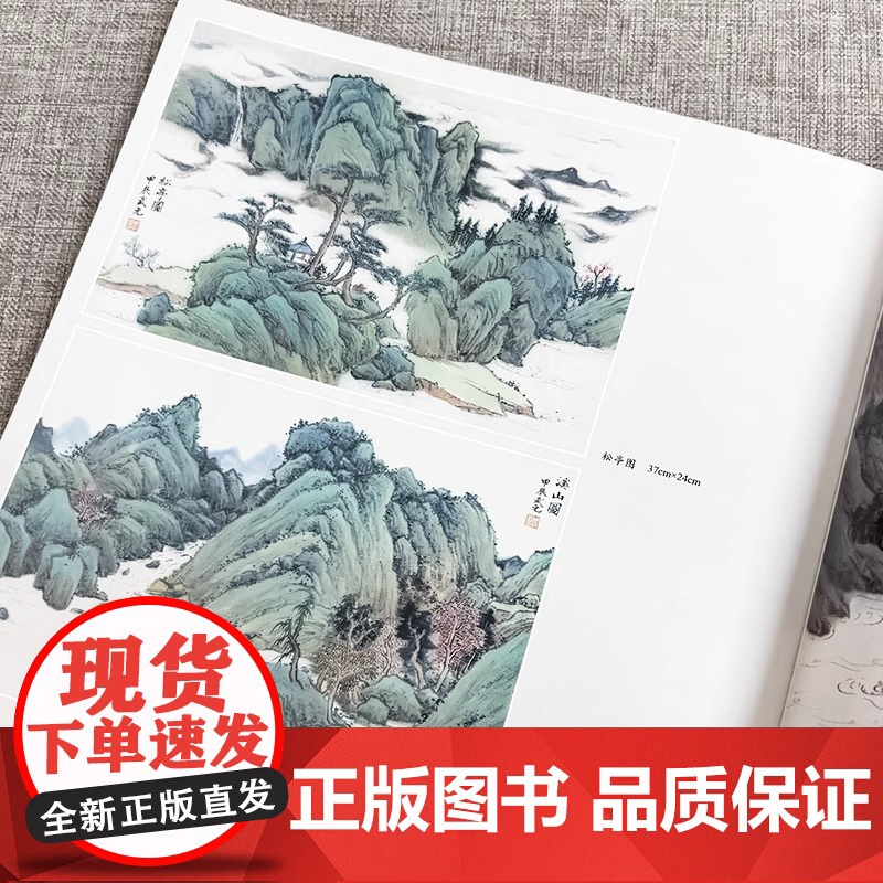 [视频教学]仿古山水画技法丛书 清四王 清四僧山水画解析 中国古代山水画名家经典名作中国画技法山水画绘画教程书 福建美术高清大图