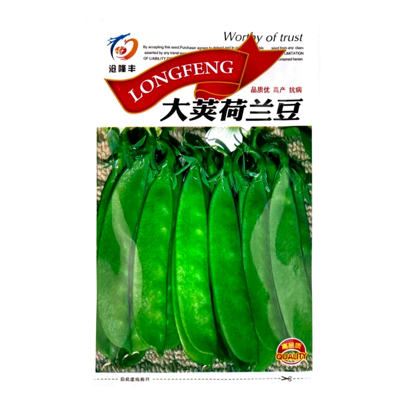豌豆种子甜豌豆尖种籽专吃豌豆苗四季播种龙须豌豆荷兰豆蔬菜种孑 均码 大荚荷兰豆种子一包