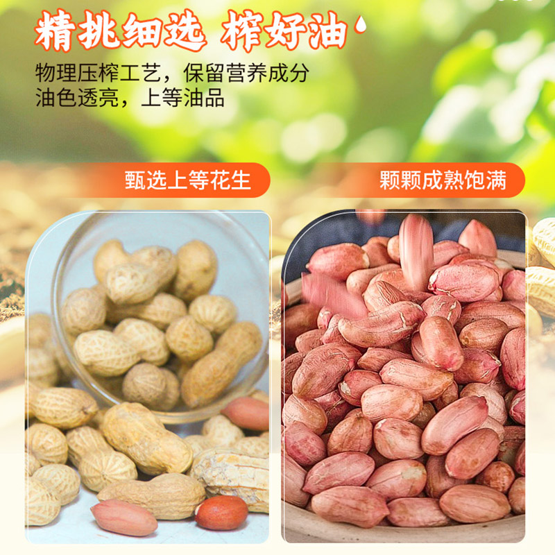 [店长推荐]金龙鱼浓香花生油4L/大桶 纯正物理压榨一级植物食用油炒菜花生油高清大图