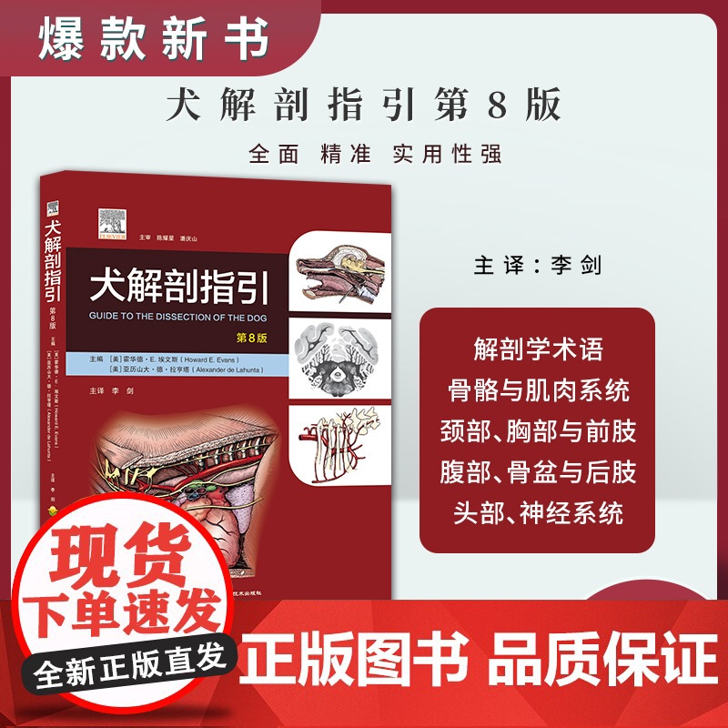 全新正版 套装 2本犬解剖填色图谱 犬解剖指引 第8版 9787565518225 犬猫解剖 小动物解剖指引 动物解剖书高清大图