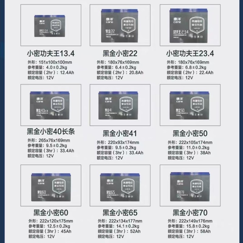 免维护蓄电池(12V/55A.h)