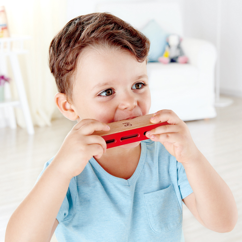 hape儿童布鲁斯口琴3岁以上儿童宝宝早教智力早旋律木制益智玩具