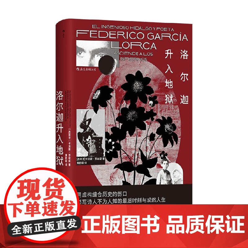 洛尔迦升入地狱 卡洛斯·罗哈斯 著 小说高清大图