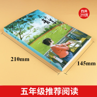 三片青姜 [正版]2023贵州书香黔贵5五年级阅读 三片青姜常新港小说馆常新港著8-10-12岁儿童课外书必读书三四五年