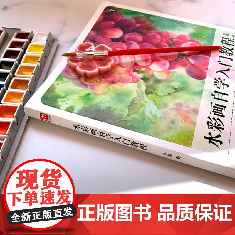 水彩画自学入门教程高清大图