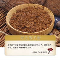 修正 破壁灵芝孢子粉【买3赠1】可搭灵芝粉头道灵芝片紫灵芝孢子油软灵芝 59.4g/盒 含送共4盒