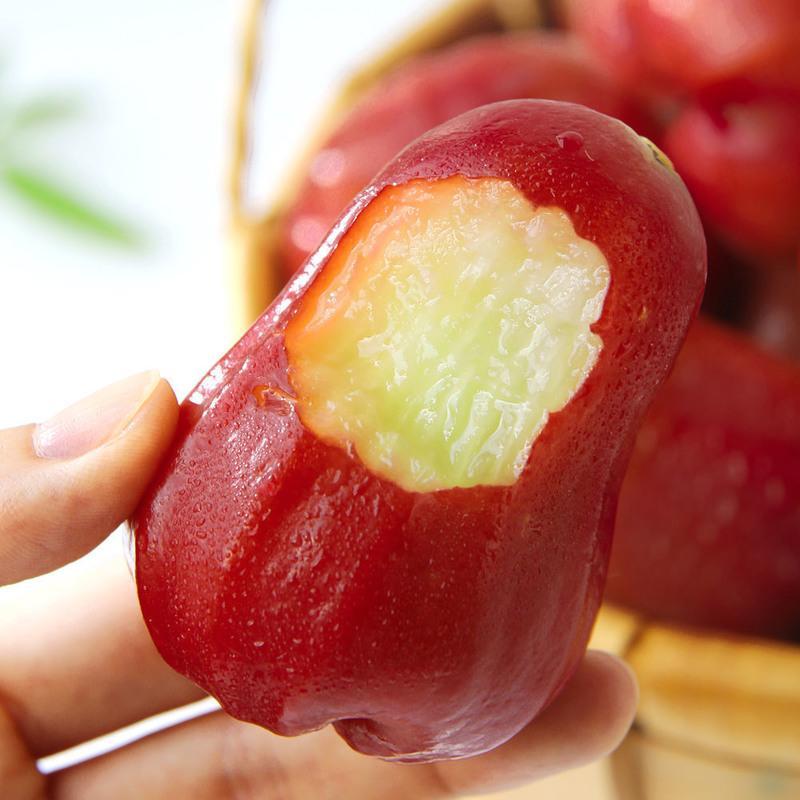 黑金刚莲雾果海南特产雾莲水果批发当季水果新鲜13斤莲雾果带箱3斤