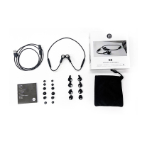 Bang&Olufsen B&O Beoplay E6 无线蓝牙运动耳机入耳式 丹麦bo苹果通用线控耳麦 黑色