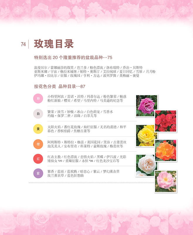 [醉染正版]绿手指园艺丛书 全图解玫瑰月季爆盆技巧 铃木满男 家庭园艺养花技巧 170种人气盆栽玫瑰 玫瑰月季爆盆养护修高清大图