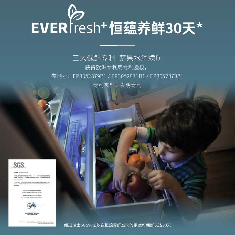 倍科大容量白色玻璃两门冰箱 RCNE560E20HGW图片