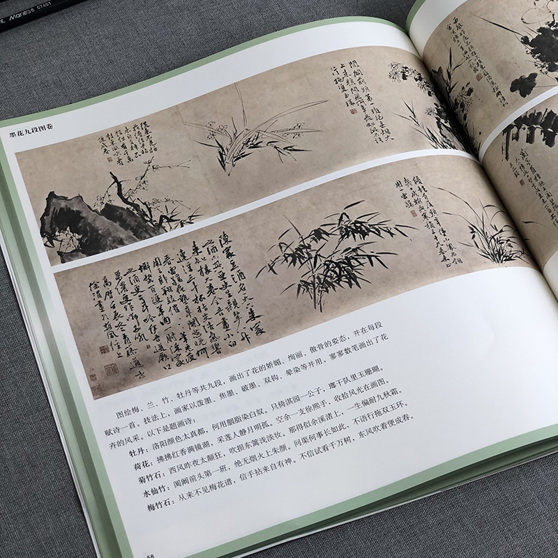 [正版]陈淳 徐渭写意花鸟画谱 名家课徒稿临本 中国画泼墨入门临摹练习画册 水墨画花鸟绘画技术教程欣赏作品 上海人民美术高清大图