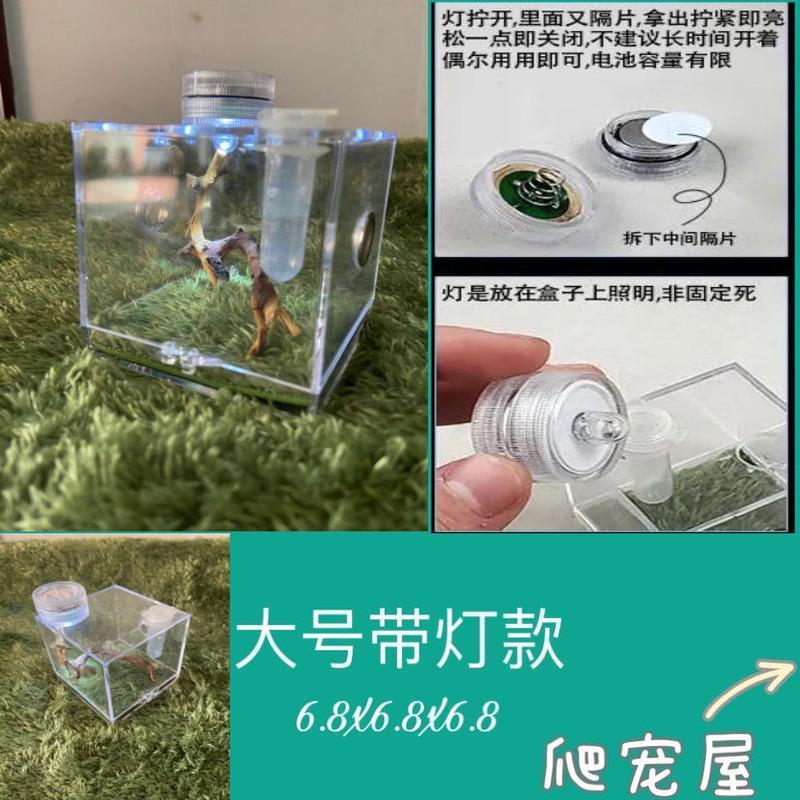 迷你灯 跳蛛饲养盒鸣虫生态盒蝈蝈叫罐竹蛉螳螂电报蛉蜘蛛昆虫加湿生态盒