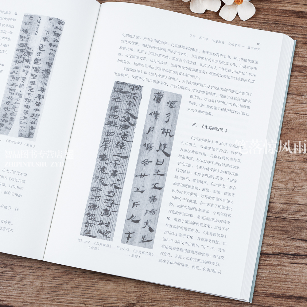 [正版]书法鉴赏 全书分上下编共七章三十三节 书法艺术的本体构成书法批评创作 篆书隶书草书楷书行书欣赏 适用于高校学生高清大图